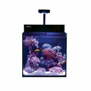 Red Sea Max Nano – Aquarium Only