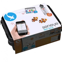 aquarium plastic plants