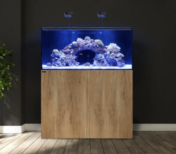 oak aquarium